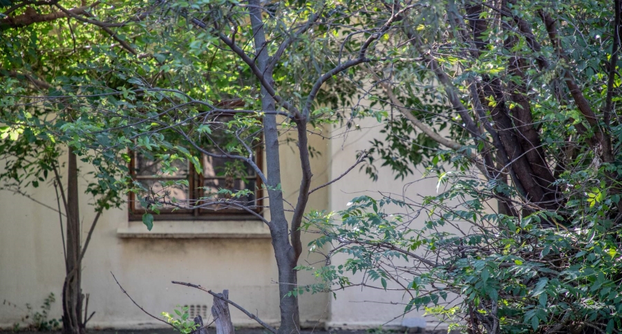 3 Bedroom Property for Sale in Heilbron Free State